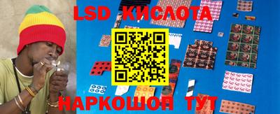2c-b Кингисепп