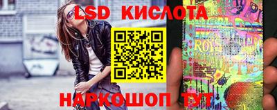 2c-b Кингисепп