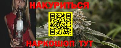 2c-b Кингисепп