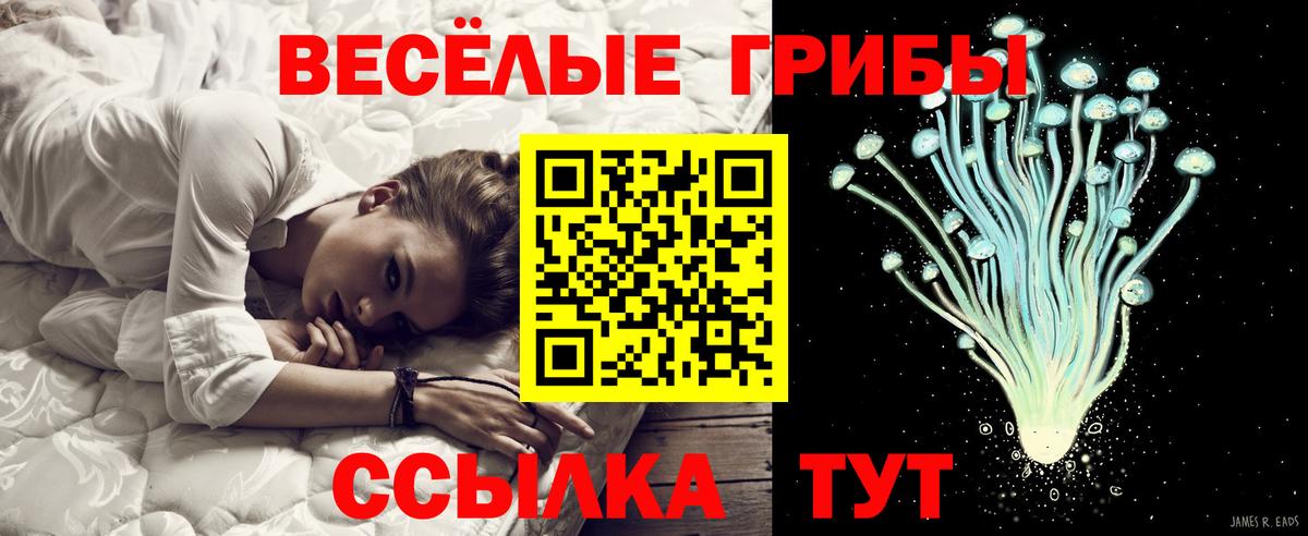 Псилоцибиновые грибы Psilocybe Кыштым