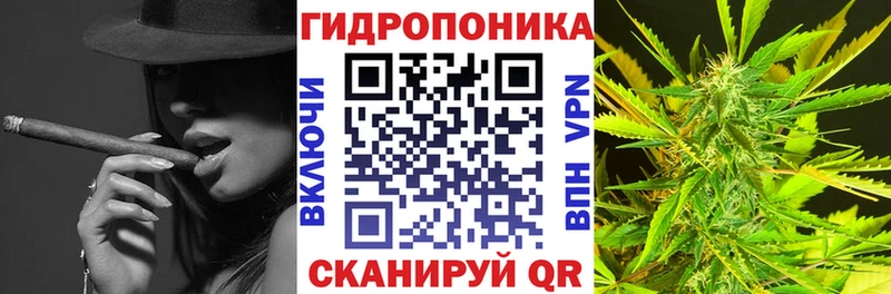 Бошки марихуана марихуана  Кыштым 